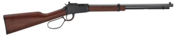 Henry Small Game Rifle .22 Mag 20" Octagon Barrel Skinner's Sights Large Loop Lever Walnut Stock 16rds