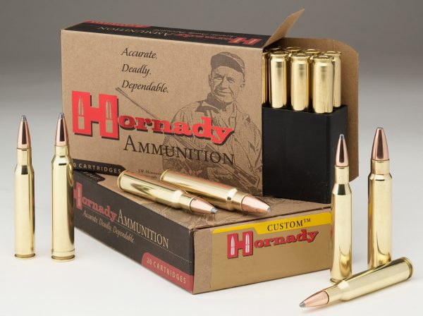 Hornady Custom Hunting 300 Blackout, 110gr, CX, 25Bx/10Cs - Image 2